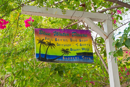 Colorful dive shop sign for Blue Water Divers in Grand Turk