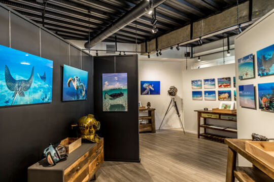 Art gallery with ocean prints