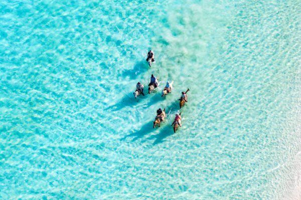 Horseback riding at Long Bay Beach