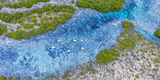 Aerial view of channel with red mangroves at Mangrove Cay in the Turks and Caicos