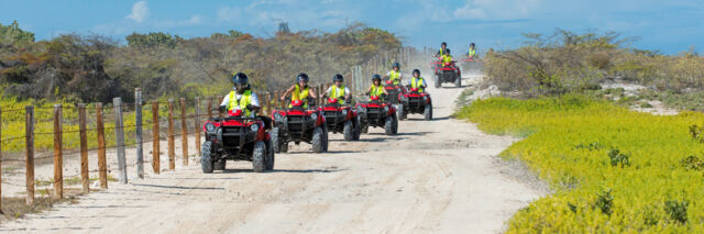 ATVs in the wetlands on Grand Turk