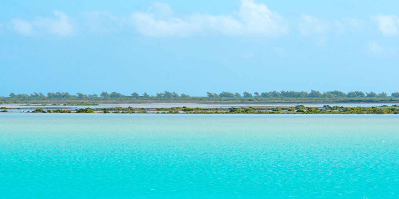 Turks and Caicos Nature Photography Guide | Visit Turks and Caicos Islands