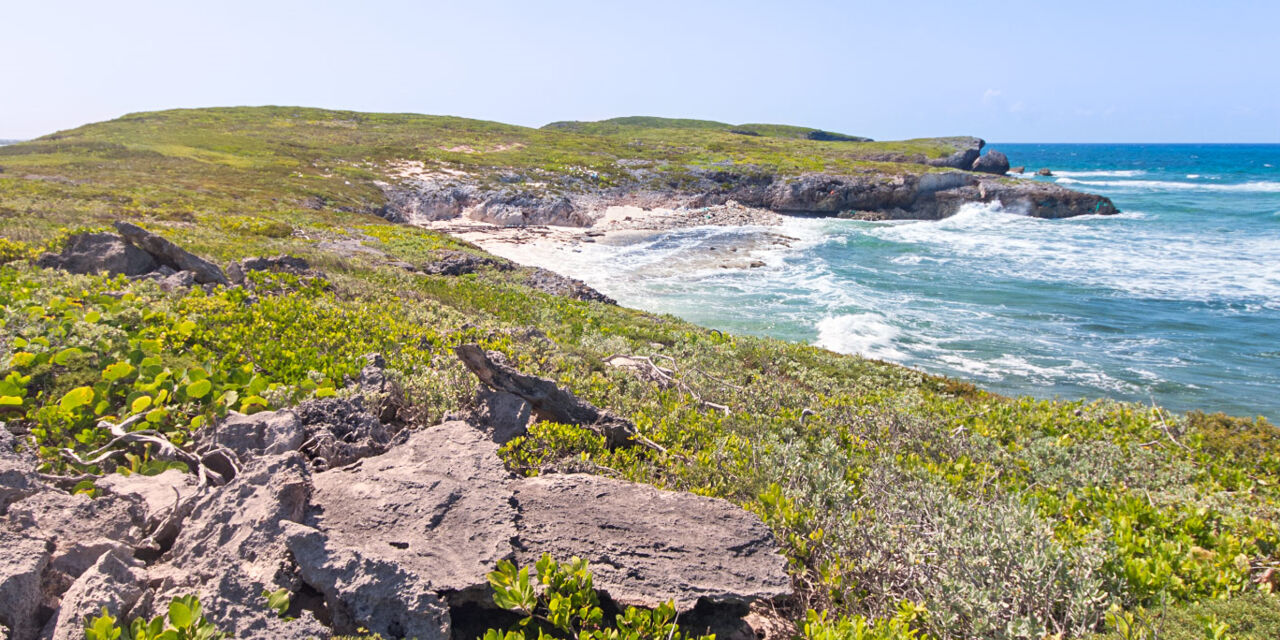 History and Overview of North Caicos and Middle Caicos | Visit Turks ...