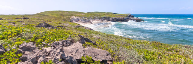 Waves crashing on the rugged cliffs at Norbellis Coves on Middle Caicos.