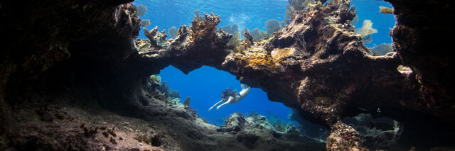 Coral arch and snorkeler at Sellar's Cut, Turks and Caicos