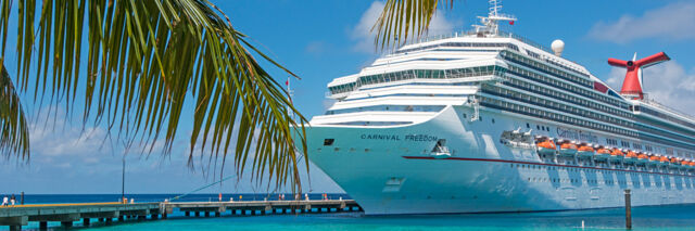 Coconut palm fronds and cruise ship at Grand Turk