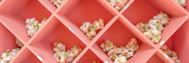 Partitioned pink shelves with conch shells for sale