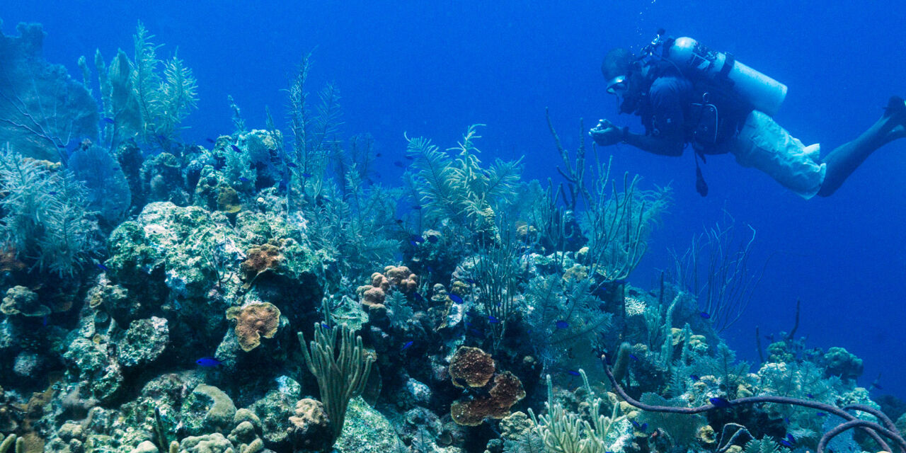 Scuba diver at a vibrant reef at English Point on Grand Turk