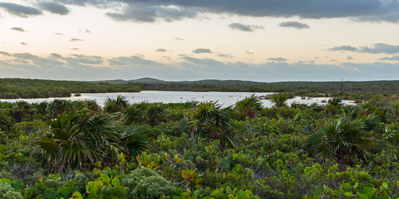 East Caicos | Visit Turks and Caicos Islands