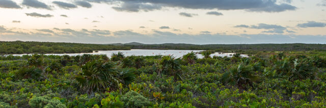 Flamingo Pond on the northwest side of East Caicos