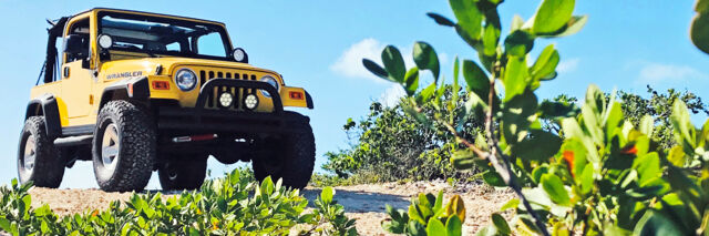 Rental Jeep Wrangler in Turks and Caicos.