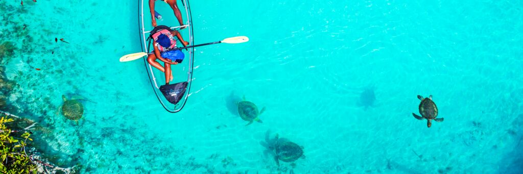 Glass bottom kayaking through Mangrove Cay with turtles.