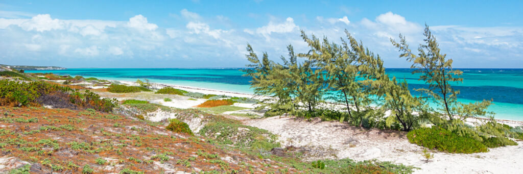 Dunes and coastal vegetation at Long Beach on South Caicos