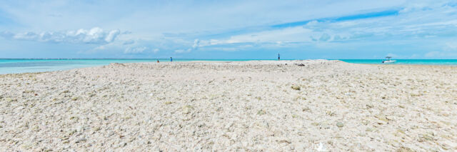 Shoal of sea shells and coral at Molasses Reef in the Turks and Caicos