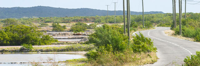 The road to East Bay Resort and the Highlands on South Caicos