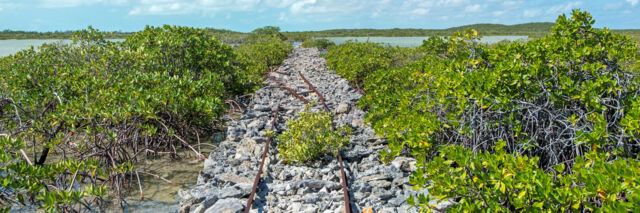 The rock causeway and small-scale railway in the wetlands of East Caicos