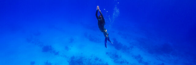 Freediver at Malcolm Roads Beach