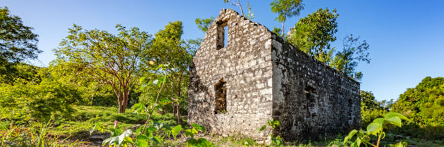 Ruin at Wade's Green Plantation