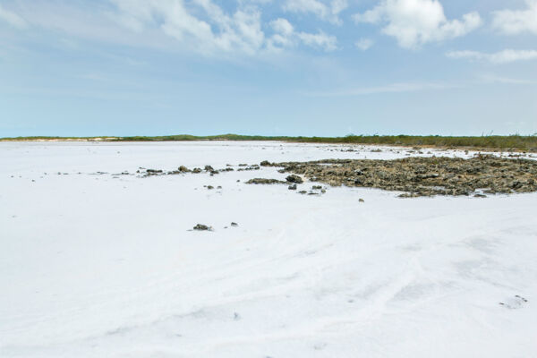 Natural sea salt in a tidal flat on Providenciales in the Turks and Caicos