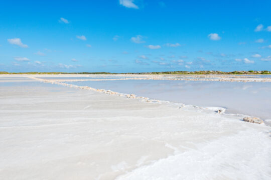 White sea salt crystal in the Hawkes Nest Salina on Grand Turk