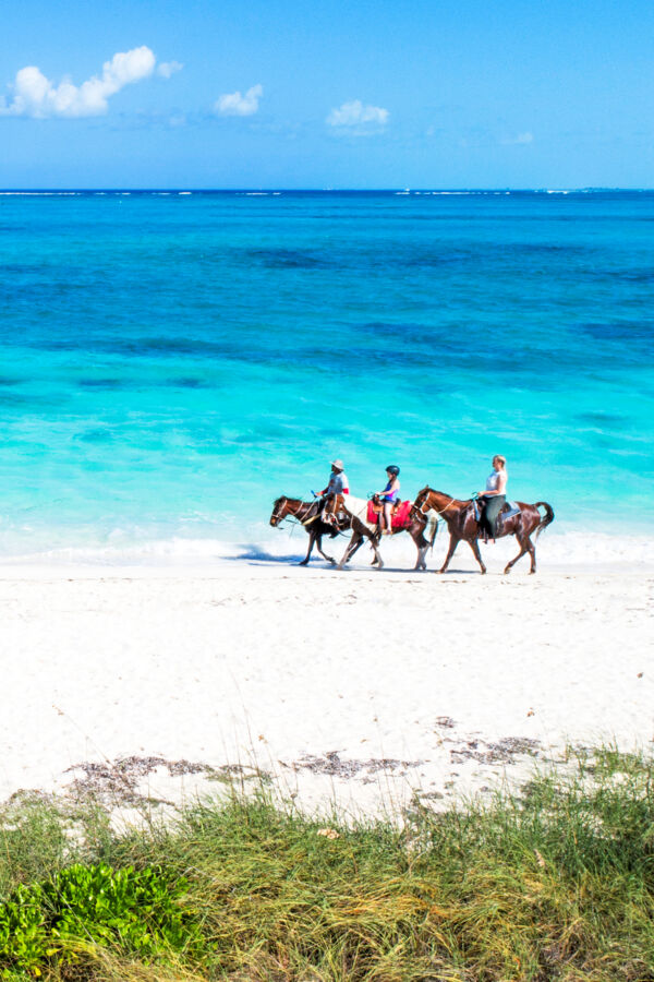 Bight Beach horseback riding