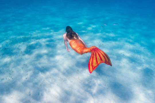 Mermaid in the clear waters of Grace Bay