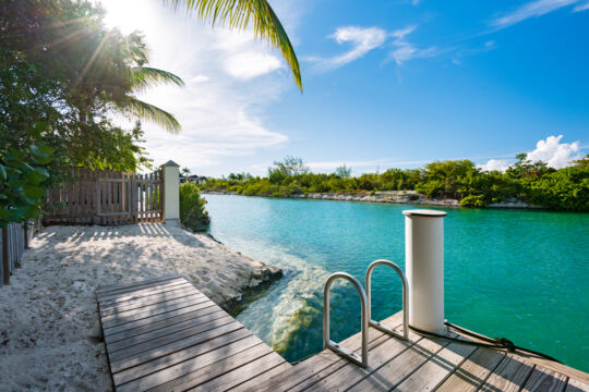 Dock with swim ladder