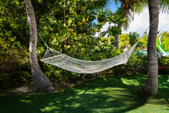 Hammock between two coconut trees