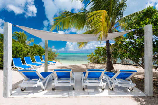 Beach loungers under a shade sail