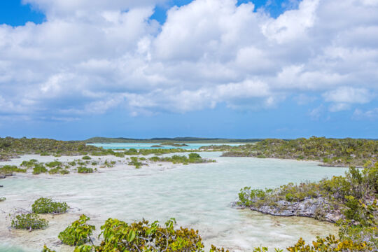 Mangroves and shallows in Chalk Sound