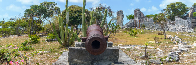 The cannon at Cheshire Hall Plantation