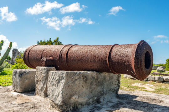 Cannon at Cheshire Hall Plantation