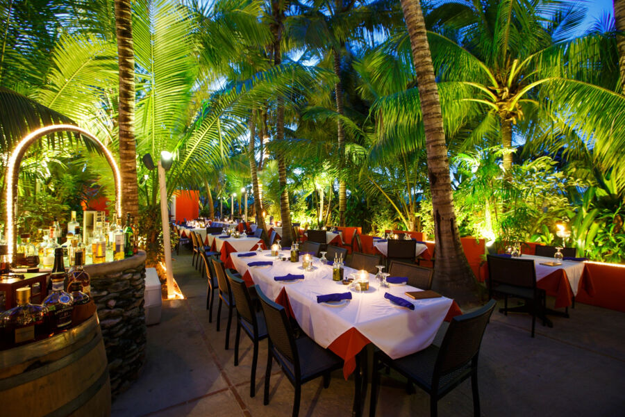 Dining tables in a lit coconut grove at night