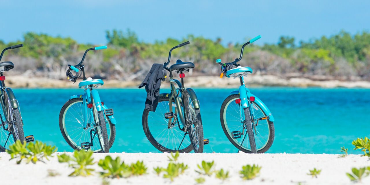 Bobs beach online bikes