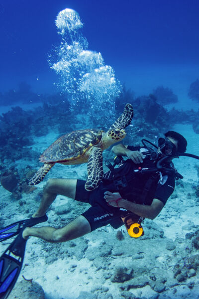 Scuba diver with turtle