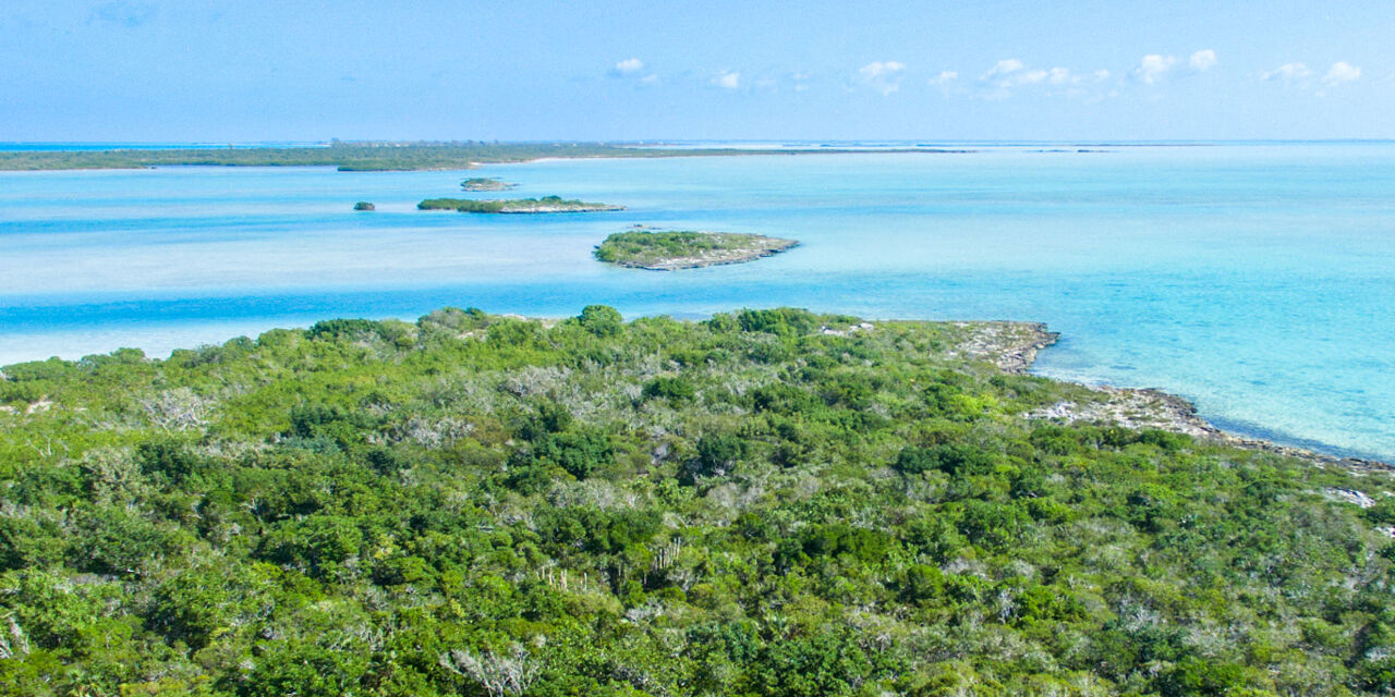 Donna Cay | Visit Turks and Caicos Islands