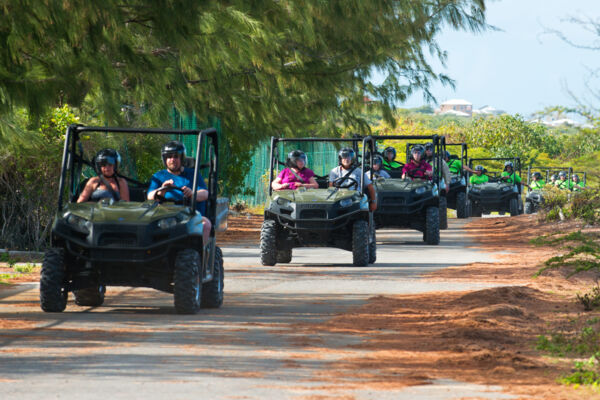 buggy buggy tours