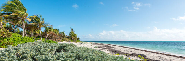 East Side Beach on Grand Turk