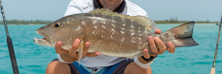 The Best Turks and Caicos Fishing | Visit Turks and Caicos Islands