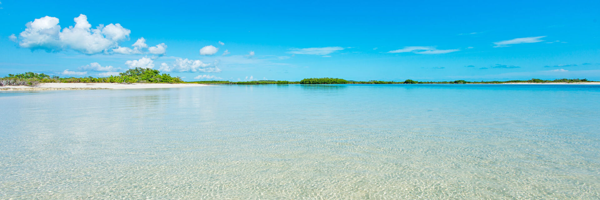 Frenchman's Creek and Pigeon Pond Nature Reserve | Visit Turks and ...