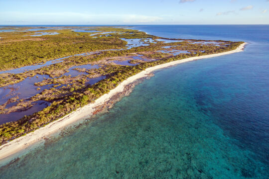 Aerial view of the Frenchman's Creek Nature Reserve