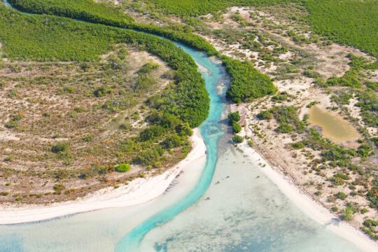 Aerial view of North Creek in Frenchman's Creek