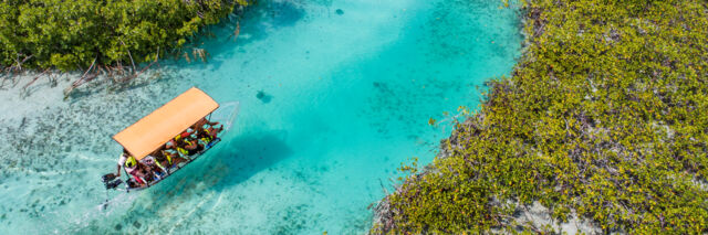 Aerial view of a clear boat