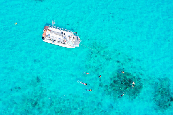 Overhead view of a tour boat and snorkelers