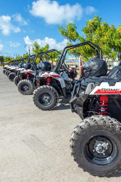 Dune buggy carts