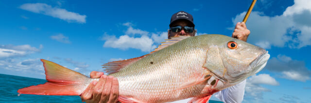 Angler with mutton snapper