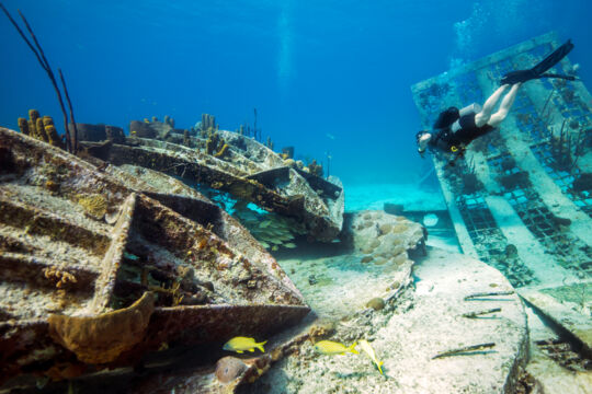 Scuba diving at the Thunderdome at Malcolm's Road Beach