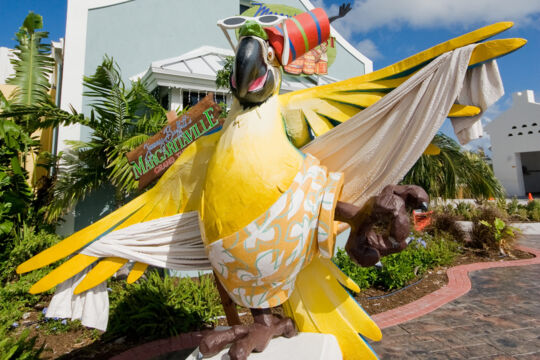 Giant yellow parrot statue wearing swim shorts at Margaritaville Grand Turk