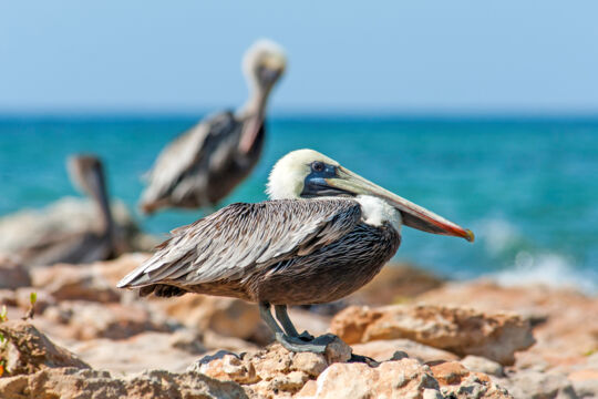 Northwest Point Marine National Park in the Turks and Caicos