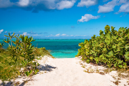 Beach path